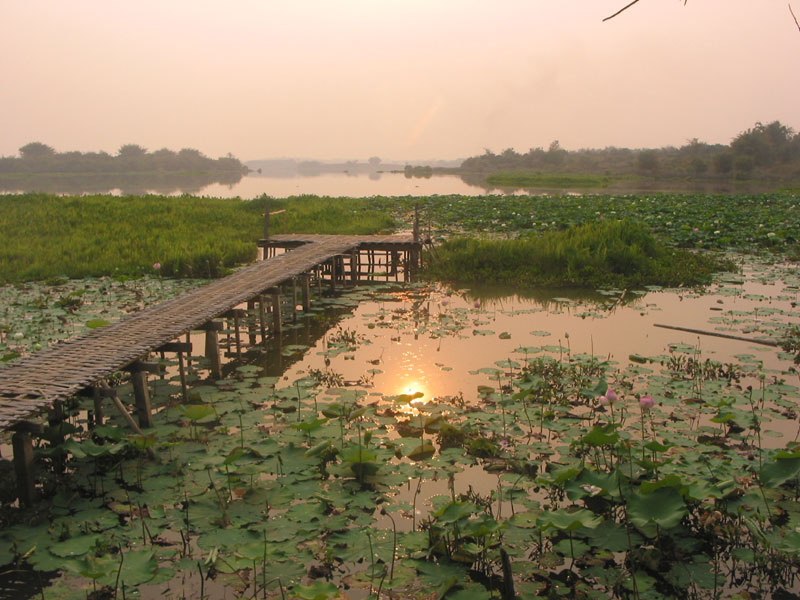 Meer bij Chiang Saen 4