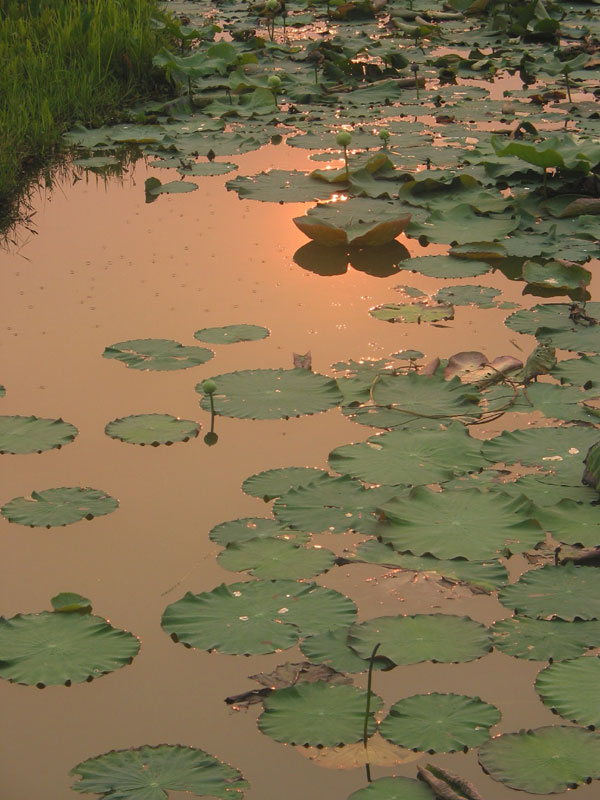 Meer bij Chiang Saen 6